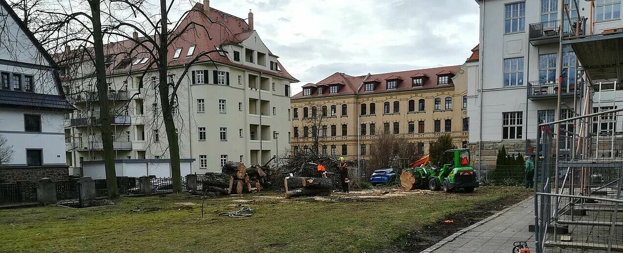 Mit den Baumfällarbeiten wurde der erste Meilenstein zum Bau des neuen Pfarrzentrums der Großpfarrei Leipzig-Nord gesetzt. (Foto: Michael Matros)