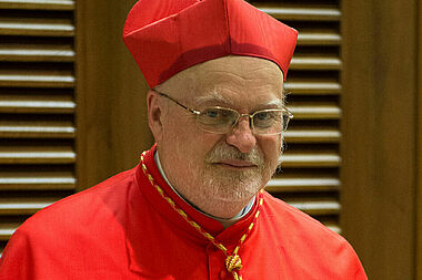 Kardinal Anders Arborelius.
