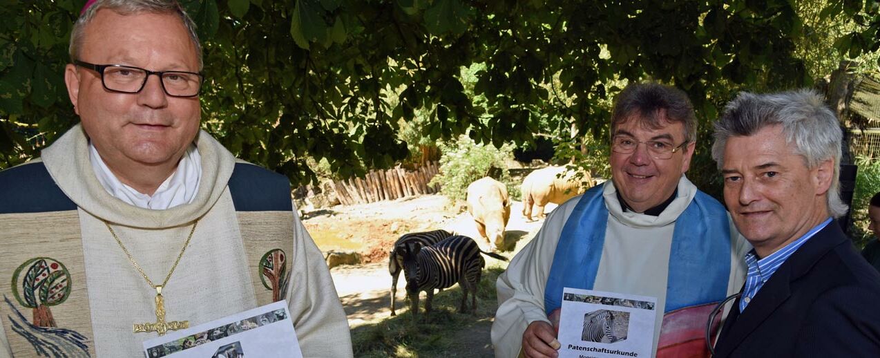 Bischof Bode und Monsignore Austen erhielten vom Geschäftsführer des Zoos Osnabrück, Andreas Busemann, eine Urkunde über eine Tierpatenschaft. Bode und Austen übernehmen für ein Jahr die Kosten für die Verpflegung der beiden Zebras Jule und Django. Foto: Patrick Kleibold