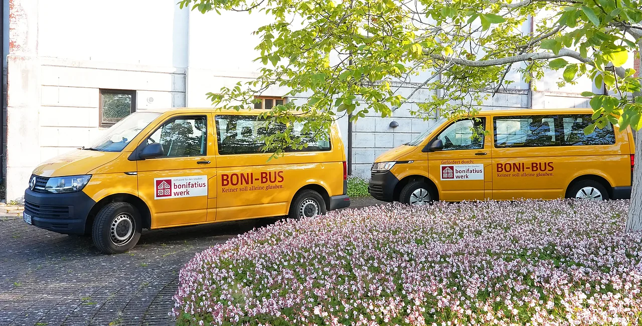 Gelbe BONI-Busse (Foto: Theresa Meier)