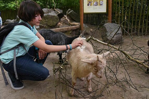 "Tiere der Bibel" live erleben konnten Kinder und Erwachsene im Allwetterzoo in Münster. Foto: Theresa Meier 