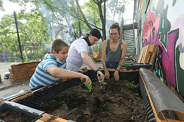 Jugendliche bepflanzen ein Hochbeet. (Foto: M. Nowak)