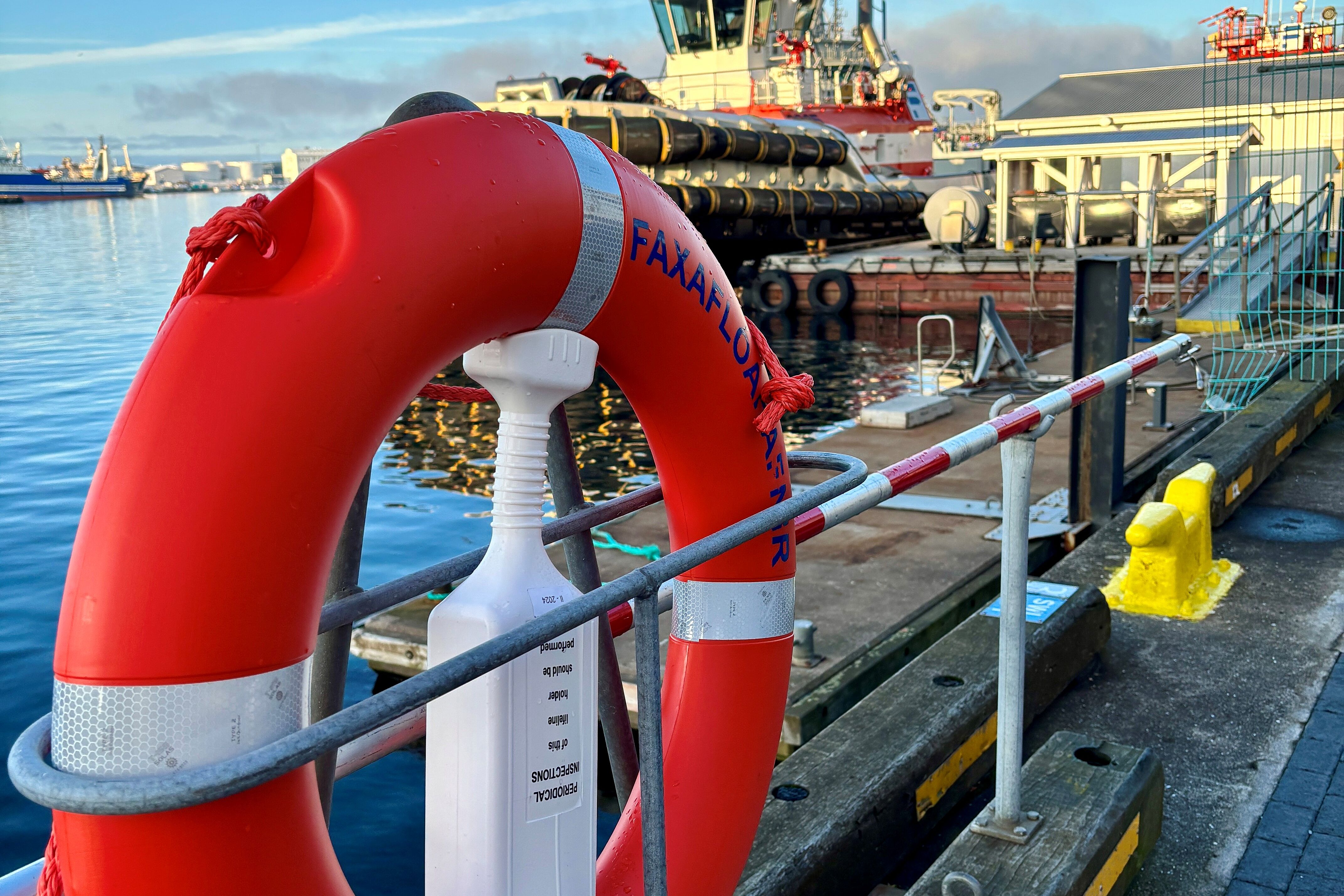 Island ist die größte Vulkaninsel der Welt. (Foto: Msgr. Georg Austen)