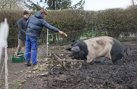Die Fütterung der Tiere erfolgt durch die Bewohner. (Foto: M. Nowak)