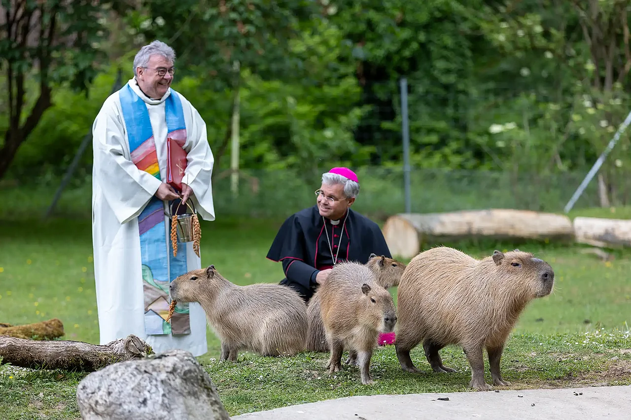 Das Capybara, das Wasserschwein, wurde stellvertretend für alle Tiere vom Paderborner Erzbischof Dr. Udo Markus Bentz und Bonifatiuswerk-Generalsekretär Monsignore Georg Austen gesegnet. (Foto: Hartmut Salzmann)