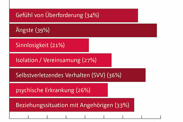 Häufige Probleme, mit denen junge Erwachsenen zu kämpfen haben. (Grafik: Bonifatiuswerk)