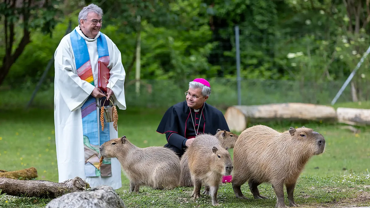 Beim "Tiere der Bibel" Aktionstag im Dortmunder Zoo wurden unter anderem die Capybaras gesegnet. (Foto: Hartmut Salzmann)