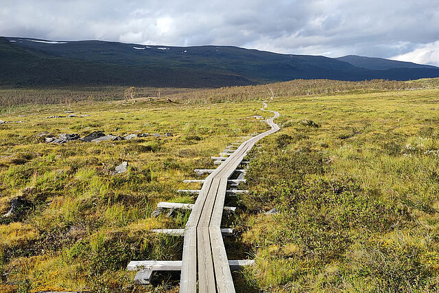 Auf dem Fernwanderweg Kungsleden in Schwedisch Lappland hat Achim Schwarz viel Zeit zum Nachdenken. (Foto: Achim Schwarz)