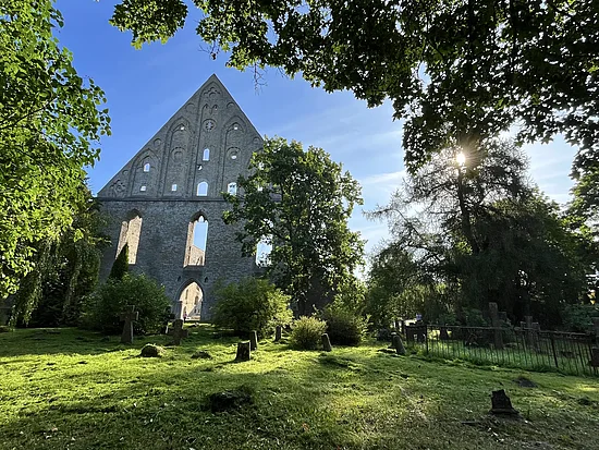 Die mittelalterliche Klosterruine des Birgitten-Klosters in Tallinn-Pirita. Foto: Andreas Kaiser Die mittelalterliche Klosterruine des Birgitten-Klosters in Tallinn-Pirita. Foto: Andreas Kaiser