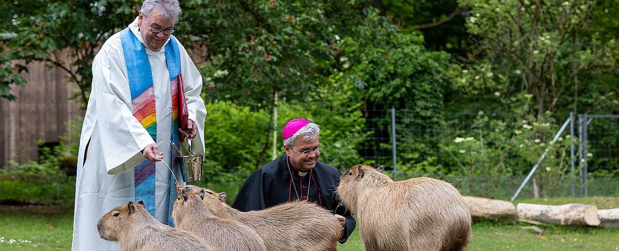 Das Capybara, das Wasserschwein, wurde stellvertretend für alle Tiere vom Paderborner Erzbischof Dr. Udo Markus Bentz und Bonifatiuswerk-Generalsekretär Monsignore Georg Austen gesegnet. (Foto: Hartmut Salzmann)