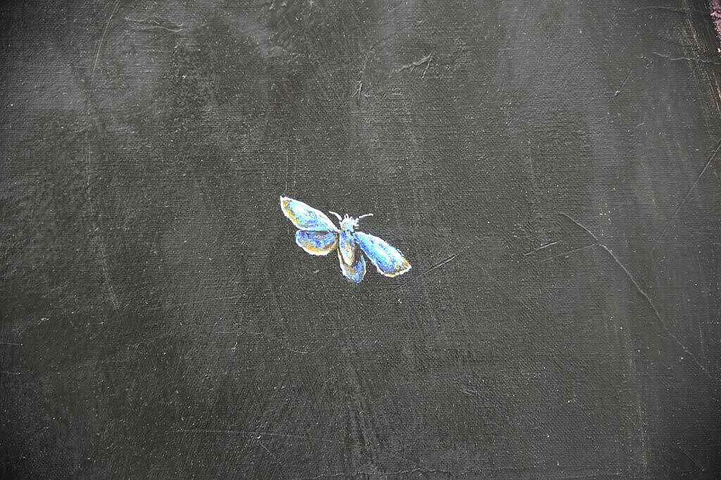 Bilddetail: Ein Schmetterling, der das alte Leben als Raupe hinter sich gelassen hat und zu einem neuen Leben aufsteigt. (Foto: Simon Helmers)