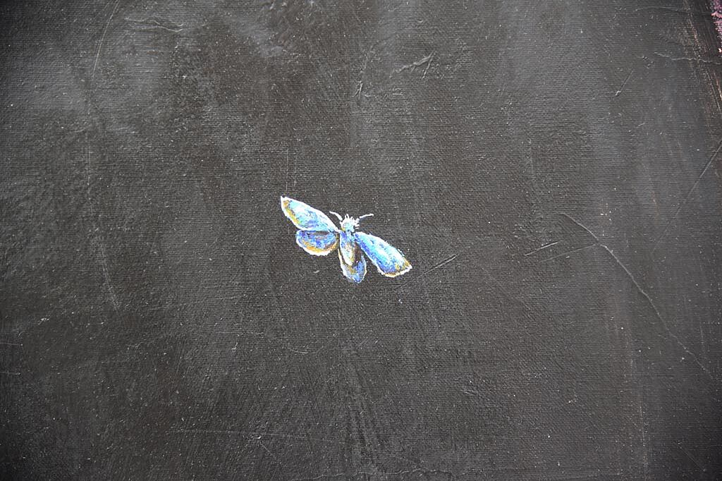 Bilddetail: Ein Schmetterling, der das alte Leben als Raupe hinter sich gelassen hat und zu einem neuen Leben aufsteigt. (Foto: Simon Helmers)