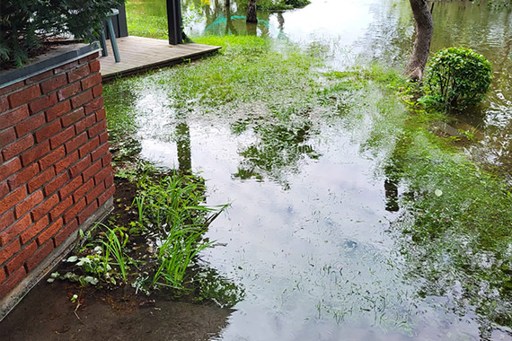 The monastery garden was completely flooded. (Photo: Josef Ottersen)