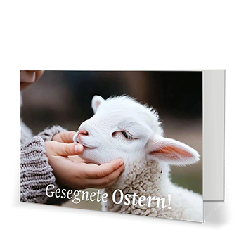 Osterkarte:  Osterlamm